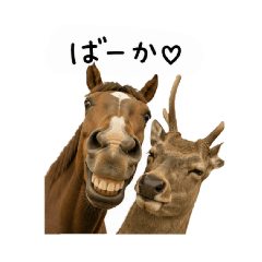 TAKUPIKMIN_20260513191452
