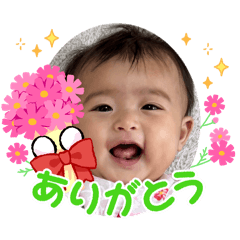 arina_20260514143928