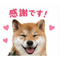 Bell_20260514152312