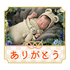 Akk_20260514151745
