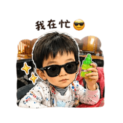 崴崴貼圖2.0