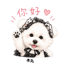 俏皮本丸生活用語