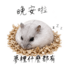 睡鼠模式