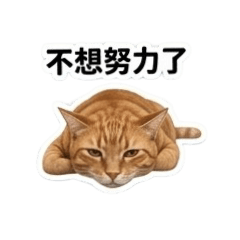 寵物貓咪-UC女兒貼圖