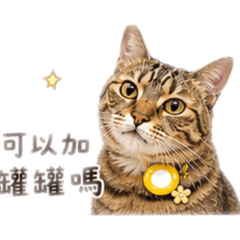 大吉為重01