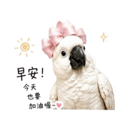 徐貴妃