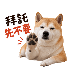 厭世寶貝日常