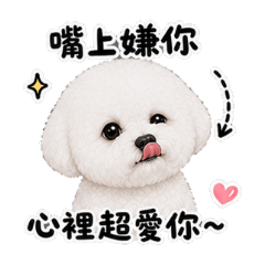 萌萌的比熊