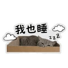 好多歐咕ㄍㄟ ฅ^•ﻌ•^ฅ
