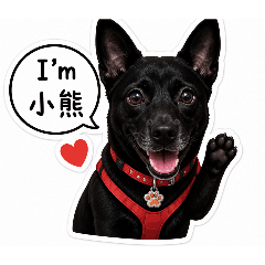 小笨熊
