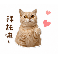 柔柔大世界1