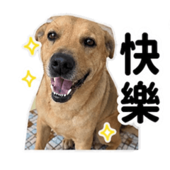 1小虎的貼圖