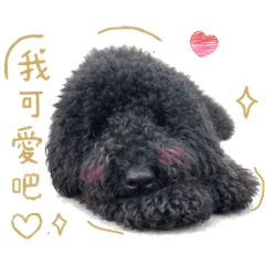 巨貴妞妞的日常