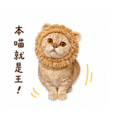 柔柔大世界3