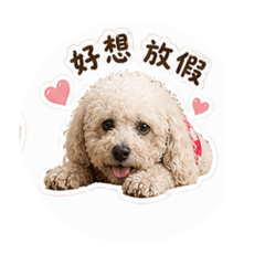 拖把與兔兔日常