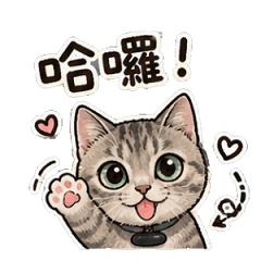 Chat with Nana