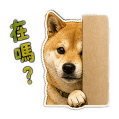 柴犬咪拎ver.2