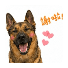 焦糖麻吉狗｜日常用語❶