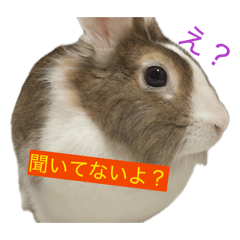 yurusan_20260513192039
