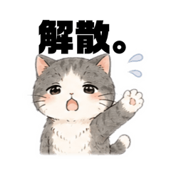 miyuneko_20260513192558