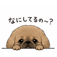 fujihana haruka_20260513192456