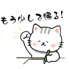 miru_20260513194000