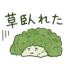 brocco_20260513201142