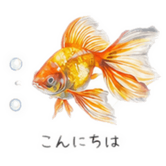 okayu_20260513193811