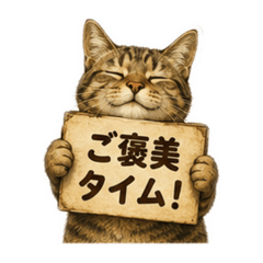 Say It with Cats: Words of Care Vol.2