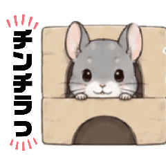 Chinchilla squishy
