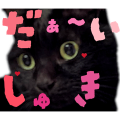 Maya_20260513201944