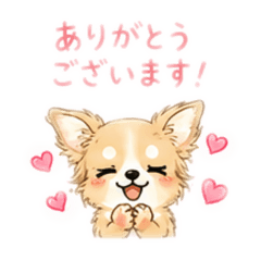okayu_20260513202545