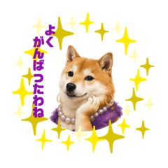 Shiba Mama's All-Positive Stickers