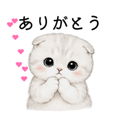 CAT_20260513213120