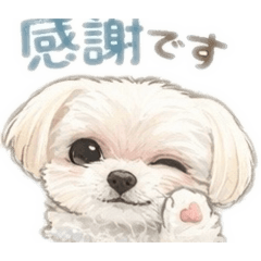 ka_na.b_20260513203708