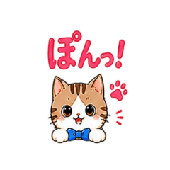 ami_20260513211915
