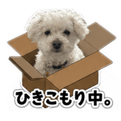 bare_20260513221947