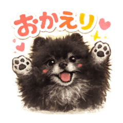 shinofull_20260513223218