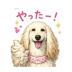LIA_20260513230500