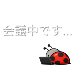 Nikora_20260513233513