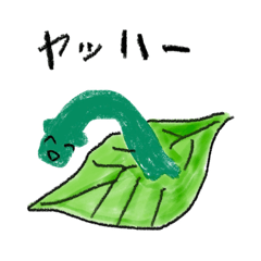 kikiki_20260513234447