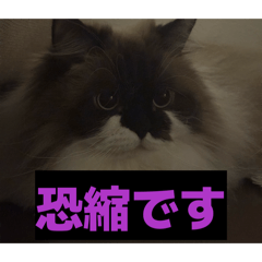Keito & Milk_20260514002302