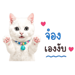 ojhgggggg_20260517211254