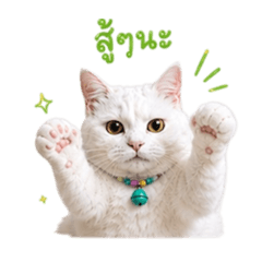 ojhgggggg_20260517211951