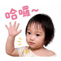 老柯柯一家