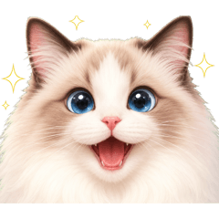 Big Face No Text Reactions Ragdoll