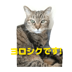 AKATSUCHI_20260514005551
