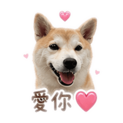 Wendy傲嬌小公主日常-1