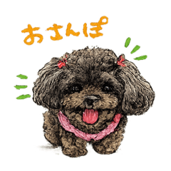Kohki Takemoto_20260514005016