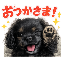 mirarise_20260514051134